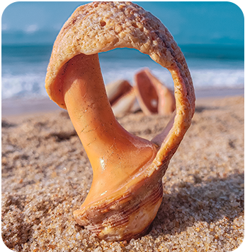 Conceptual art Photography